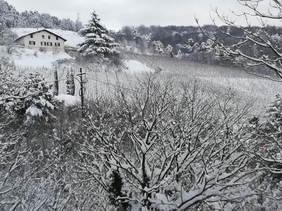 Cottage Lavanda E Rosmarino Lavis Exterior photo