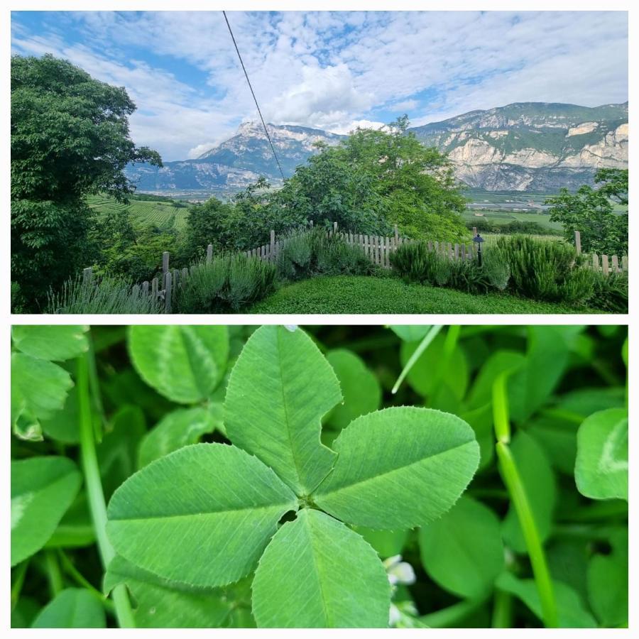 Cottage Lavanda E Rosmarino Lavis Exterior photo