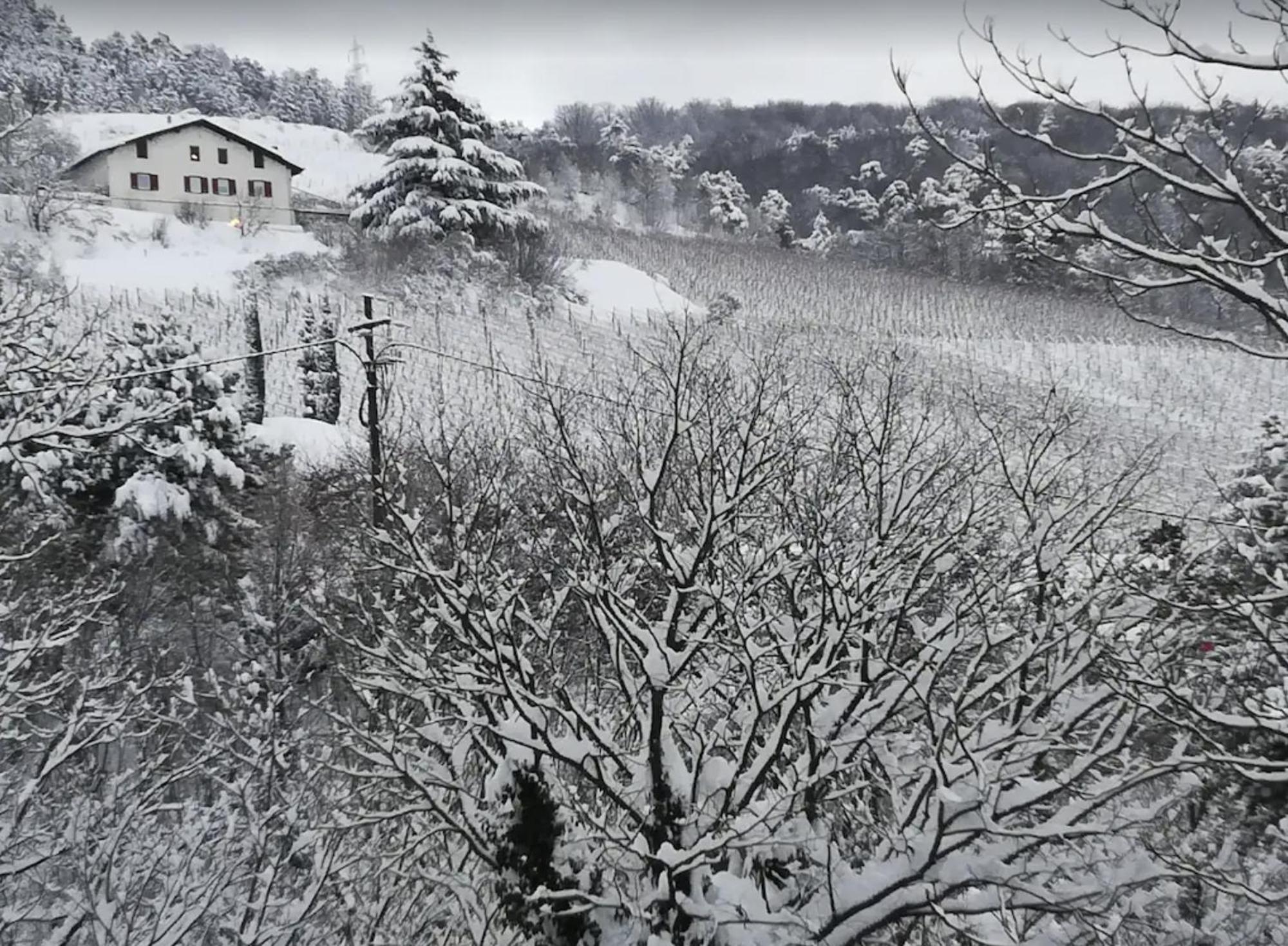 Cottage Lavanda E Rosmarino Lavis Exterior photo