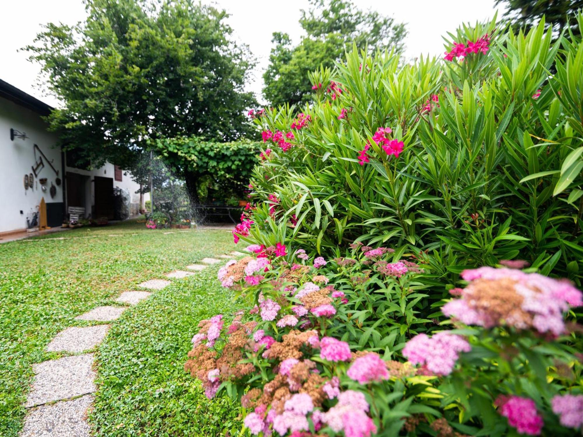 Cottage Lavanda E Rosmarino Lavis Exterior photo