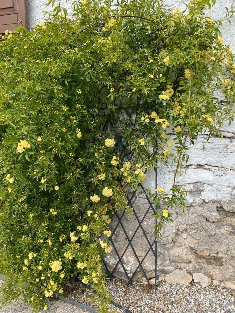 Cottage Lavanda E Rosmarino Lavis Exterior photo